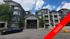 Lincoln Park Apartment for sale:  2 bedroom 850 sq.ft. (Listed 2022-07-20)